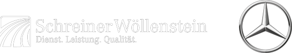 Schreiner Wöllenstein